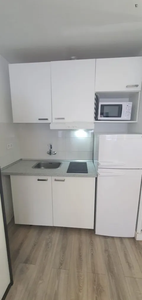 Appartamento 21 m² a Madrid