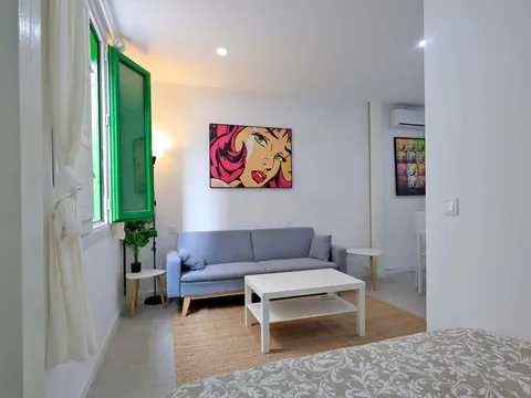 Pis de 28 m² a Madrid