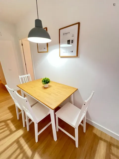 Habitació de lloguer, Alacant