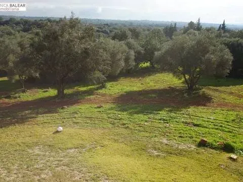 Pis de 300 m² a Costitx