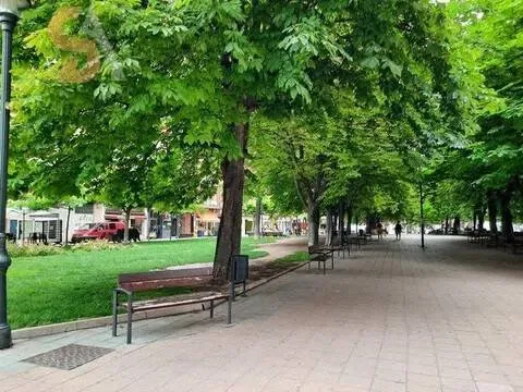Habitació de lloguer, Valladolid