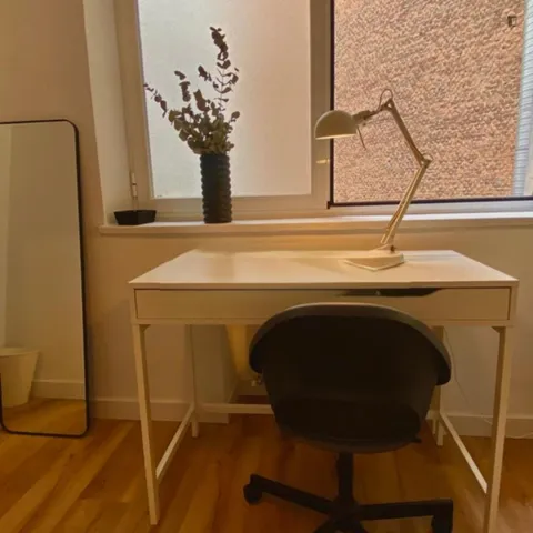 Chambre à louer, Madrid