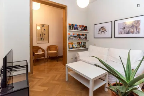 Stanza in affitto, Madrid