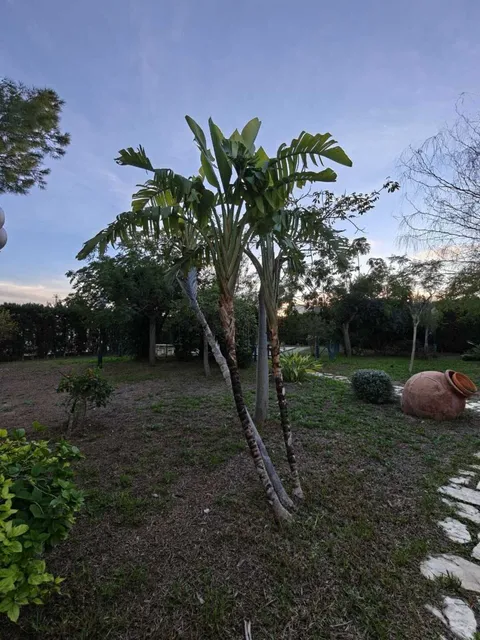 Pis de 252 m² a Sant Vicent del Raspeig