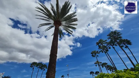Pis de 50 m² a San Bartolomé de Tirajana