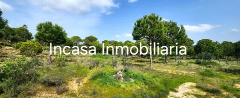 Appartamento 30 m² a Valverde del Camino