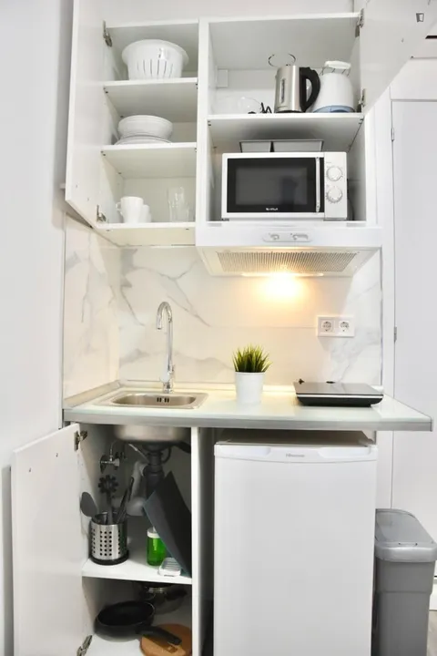 Flat 25 m² in Madrid