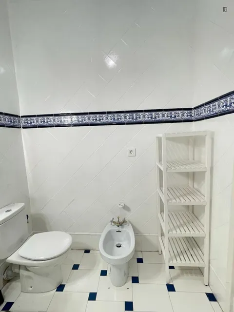 Stanza in affitto, Madrid