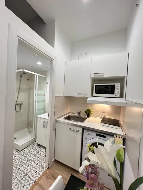 Appartamento 21 m² a Madrid