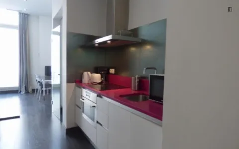 Pis de 41 m² a Madrid