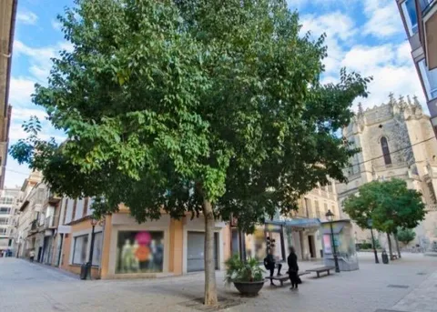 Apartamento 80 m² em Manacor