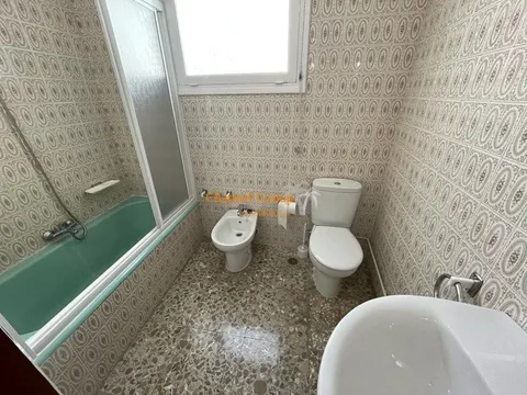 Habitació de lloguer, Elx