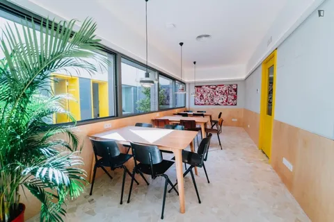 Habitació de lloguer, Madrid