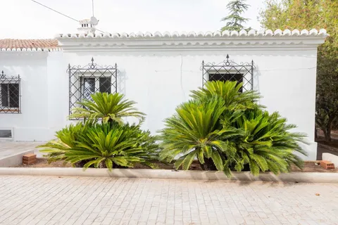 House 295 m² in Bétera