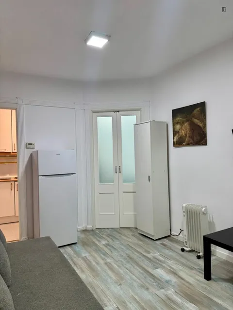 Pis de 30 m² a Madrid