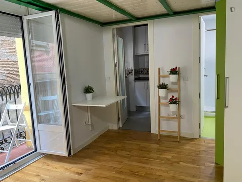 Pis de 29 m² a Madrid