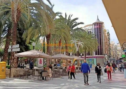 Wohnung 250 m² in Elx / Elche