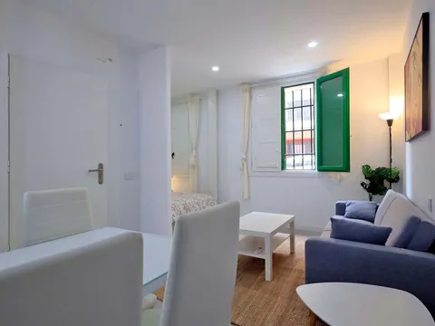 Pis de 28 m² a Madrid