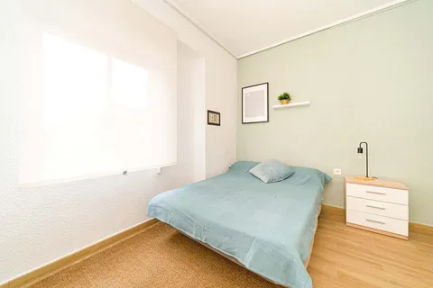 Habitació de lloguer, Elx