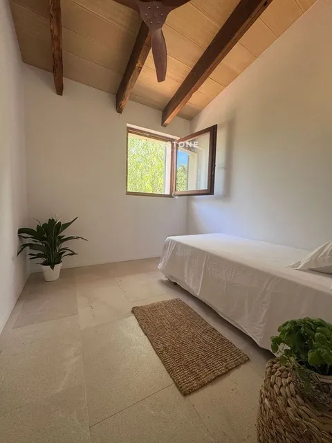 House 100 m² in Estellencs