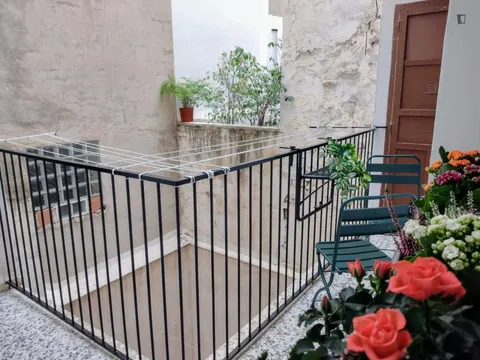 Habitació de lloguer, Alacant