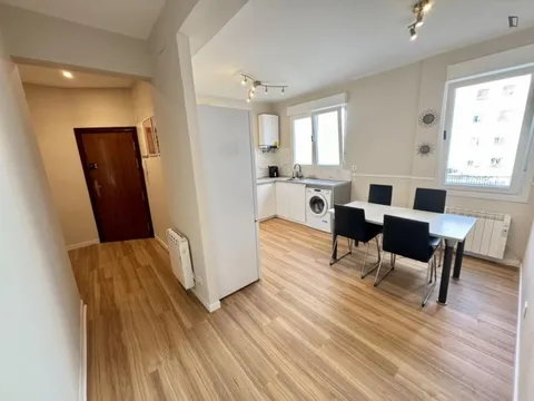 Habitació de lloguer, Bilbao