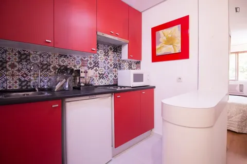 Pis de 35 m² a Madrid