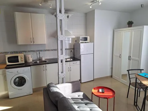 Flat 45 m² in Seville (4/10)