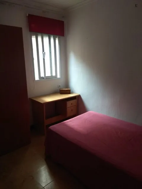 Pis de lloguer, Granada