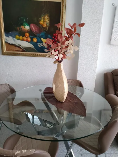 Habitació de lloguer, Alacant