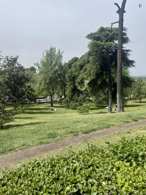 Habitació de lloguer, Madrid