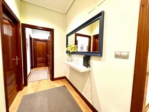 Room for rent, Bilbao