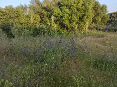 Pis de 60 m² a Vejer de la Frontera