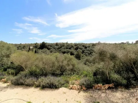 Pis de 85 m² a Palma