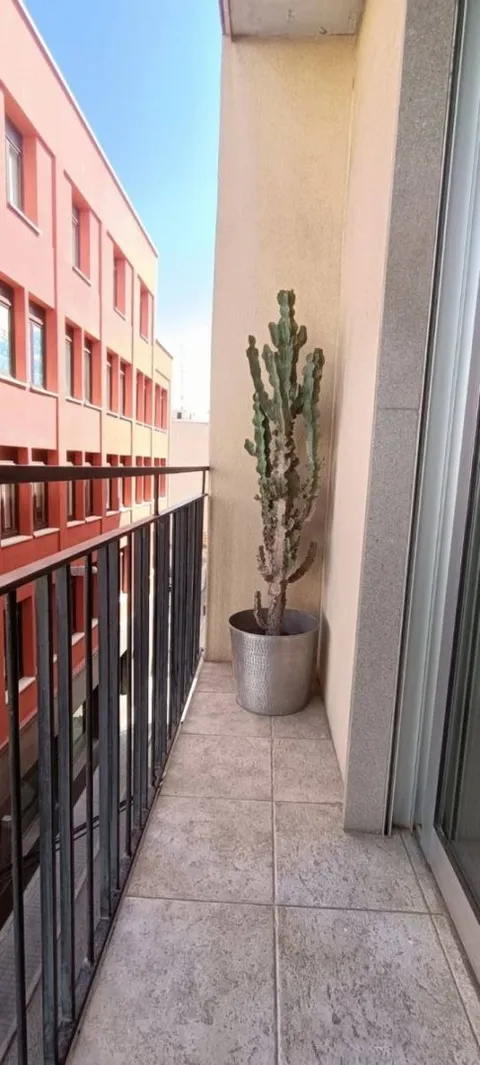 Appartamento in affitto, Elx / Elche