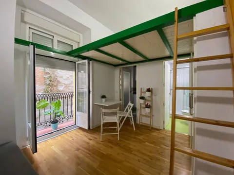 Pis de 29 m² a Madrid