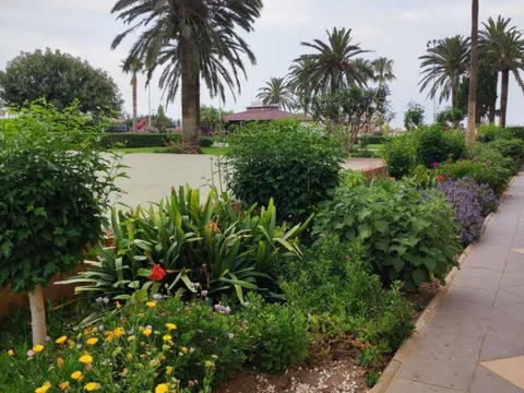 Pis de 45 m² a Algarrobo