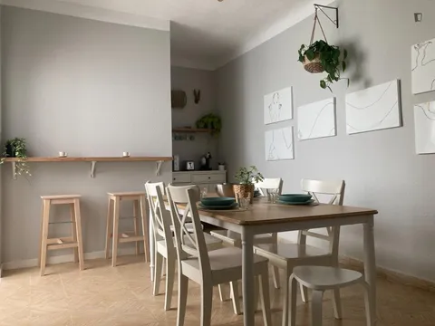 Habitació de lloguer, Alacant