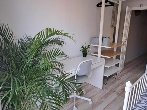 Habitació de lloguer, Alacant