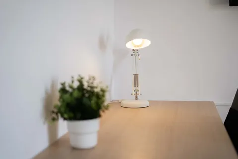 Chambre à louer, Valence