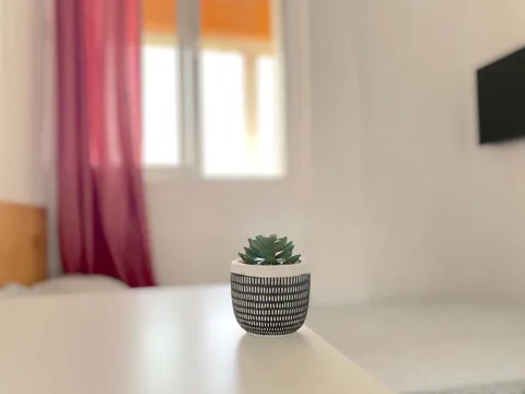 Habitació de lloguer, Sevilla