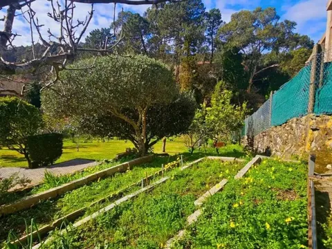 House 300 m² in Cangas de Morrazo