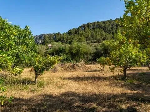 Pis de 370 m² a Esporles