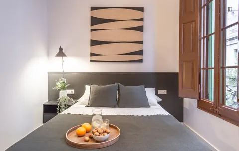 Stanza in affitto, Barcelona