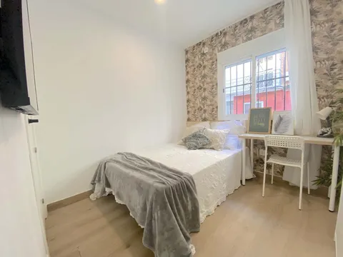 Chambre à louer, Séville (4/31)