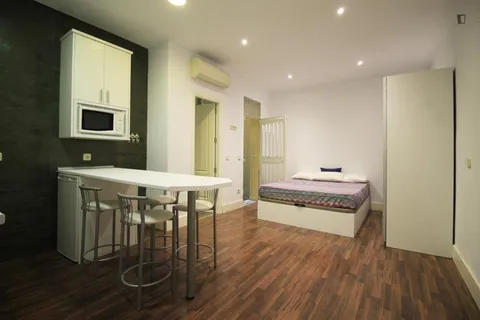 Appartamento 31 m² a Madrid