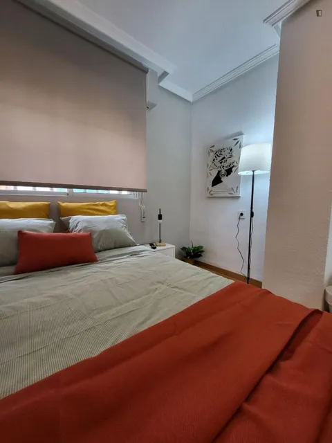 Habitació de lloguer, Alacant (2/15)