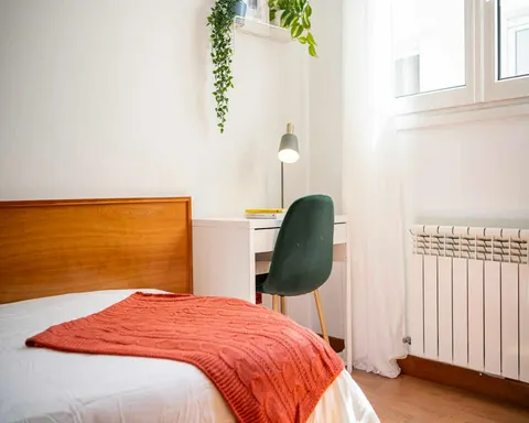 Habitació de lloguer, Madrid (4/9)