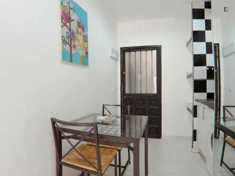 Pis de 28 m² a Madrid