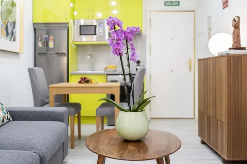 Pis de 45 m² a Madrid